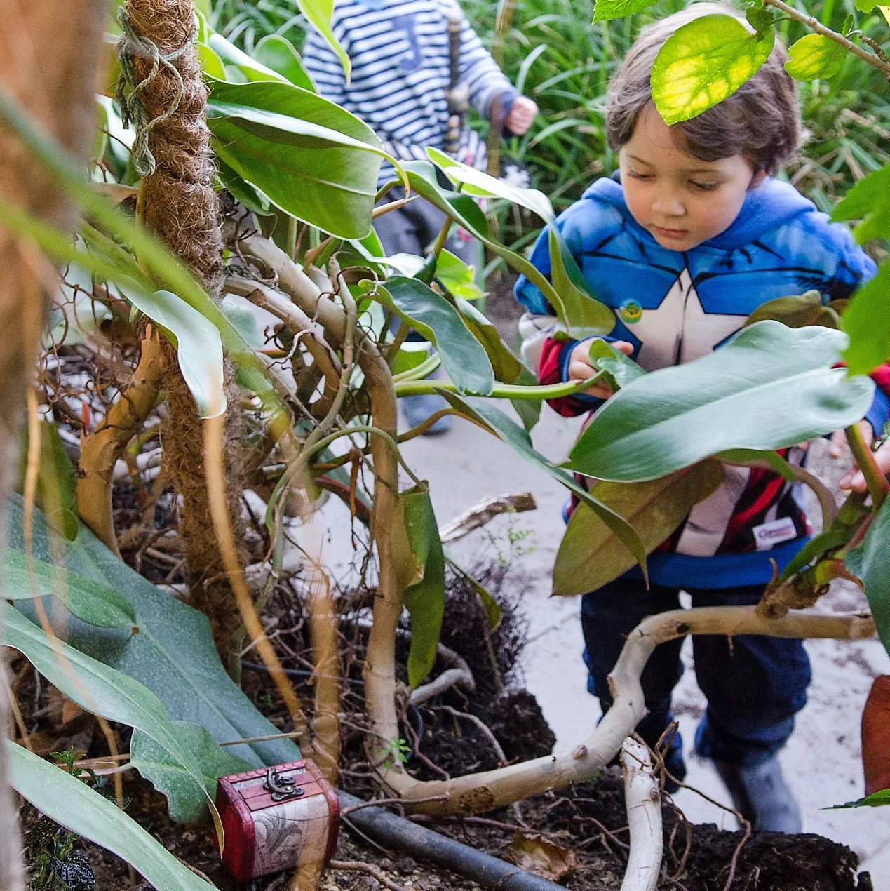 Nature Treasure Hunt vs Scavenger Hunt
