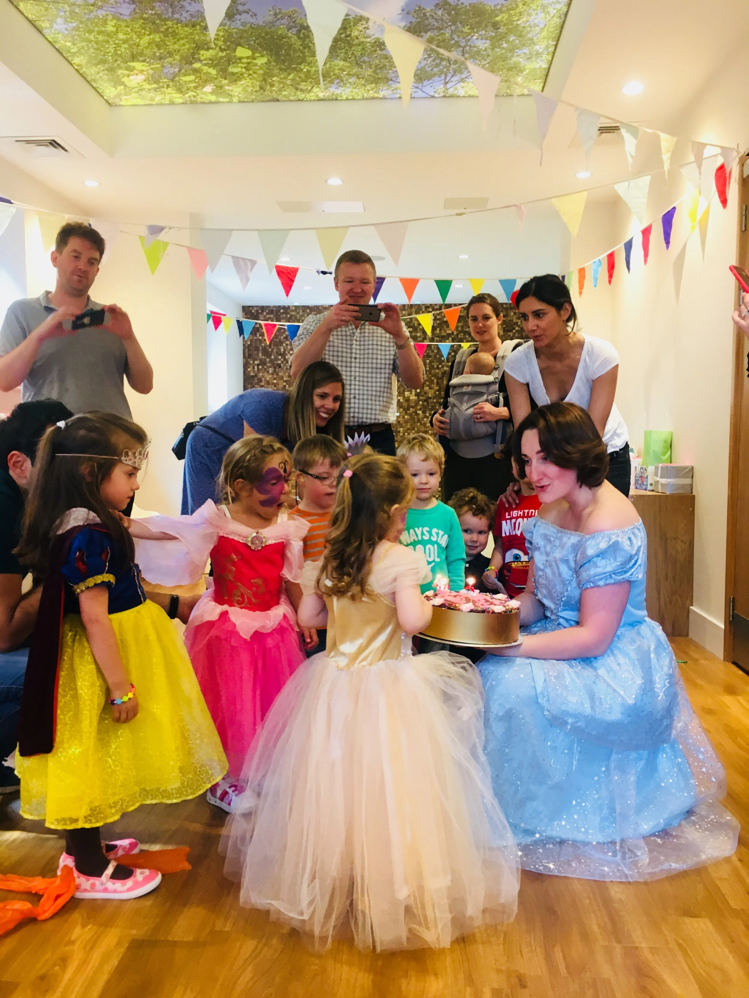 Contemporary Princess  Party