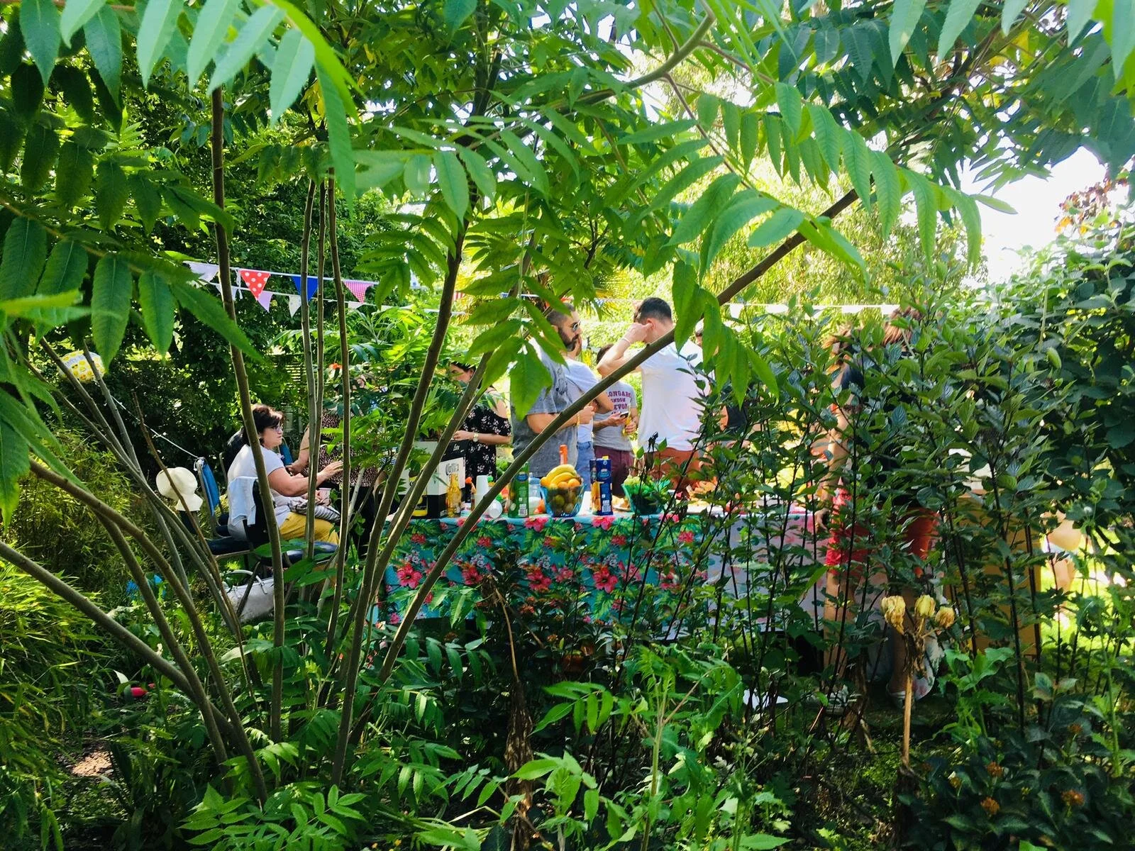 Outdoor parties season has began! 