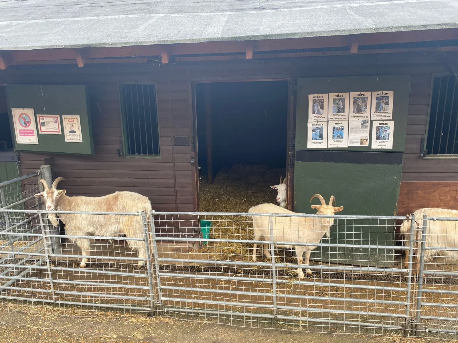 Kentish City Farm - Kentish Town