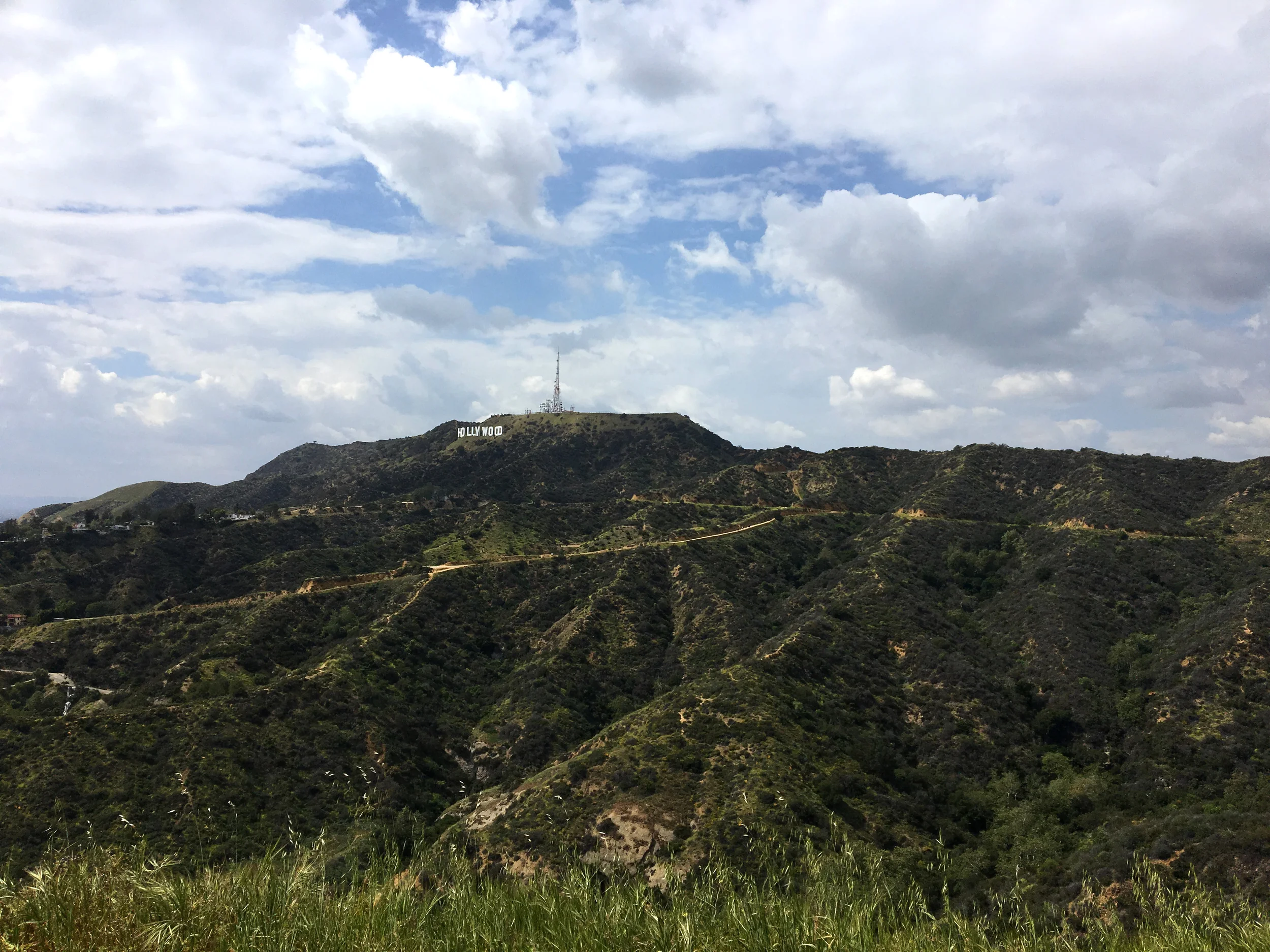 Hollywood California (Copy)