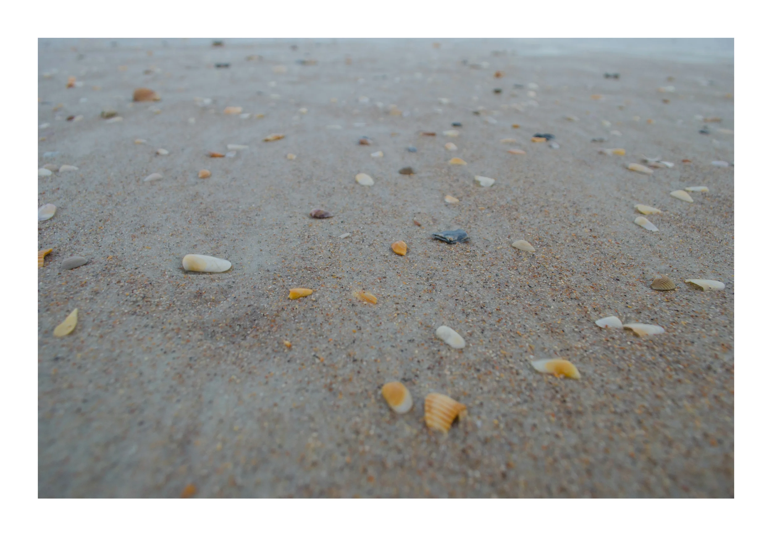 St. Augustine be like_3_2.JPG