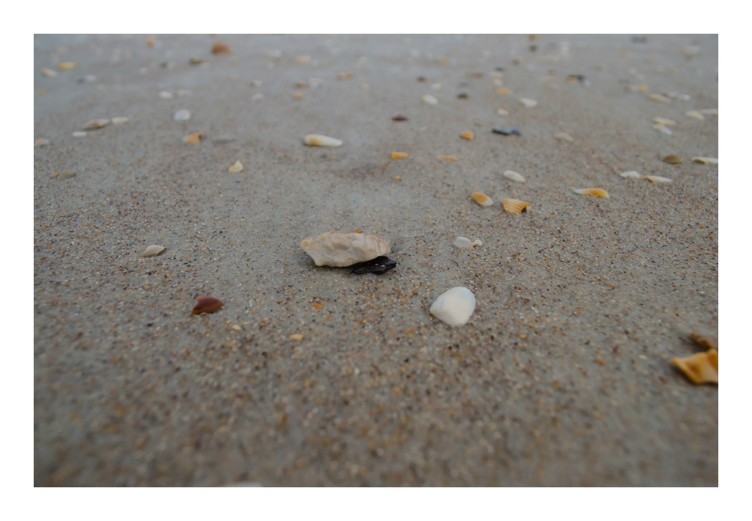 St. Augustine be like_3_1.JPG