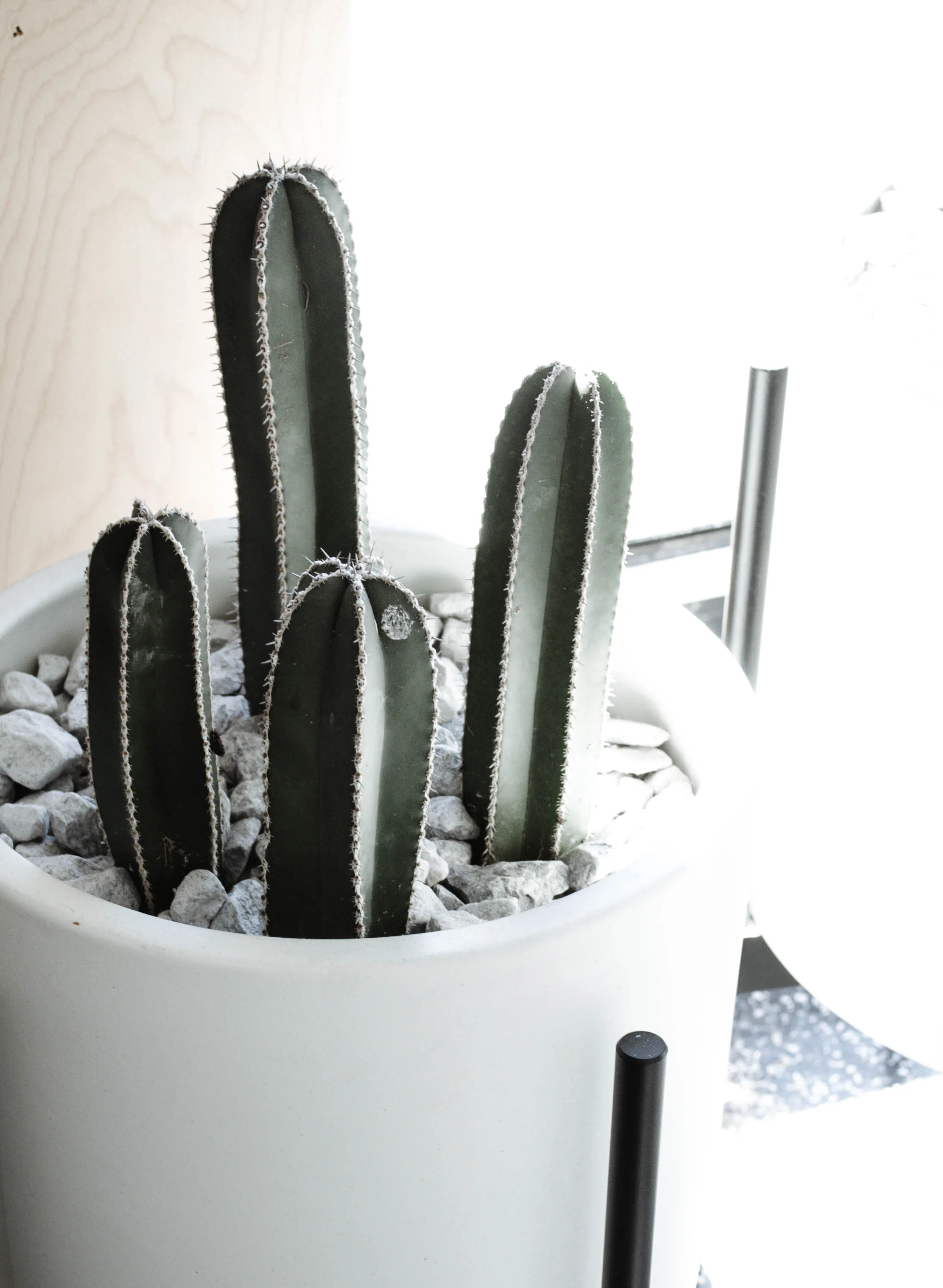 NC_NC_(0842 of Total # (6)).jpg