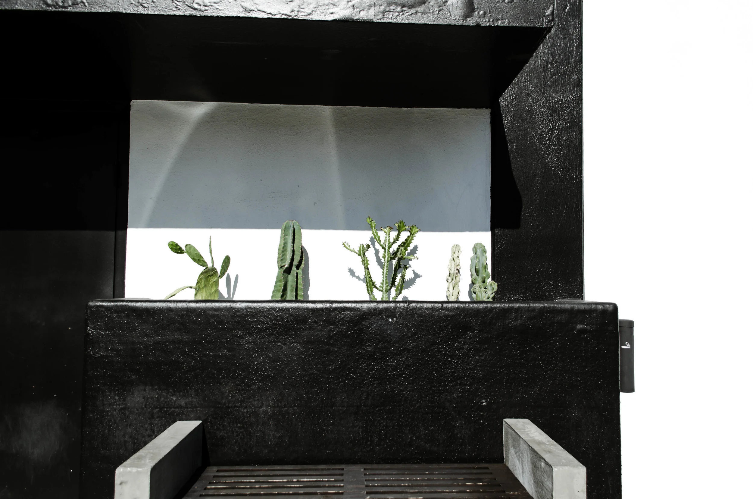 NC_NC_(0846 of Total # (6)).jpg