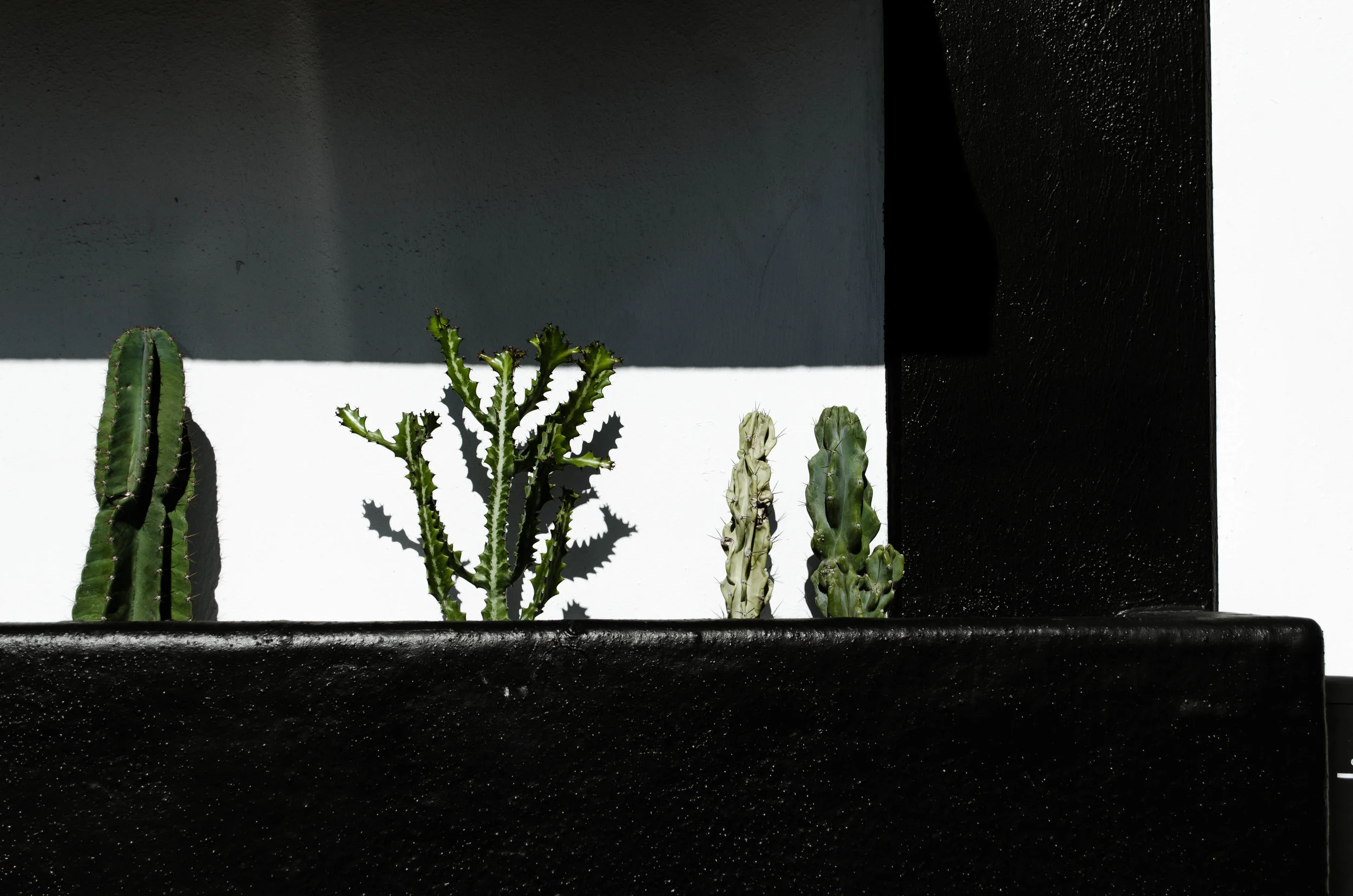 NC_NC_(0847 of Total # (6)).jpg