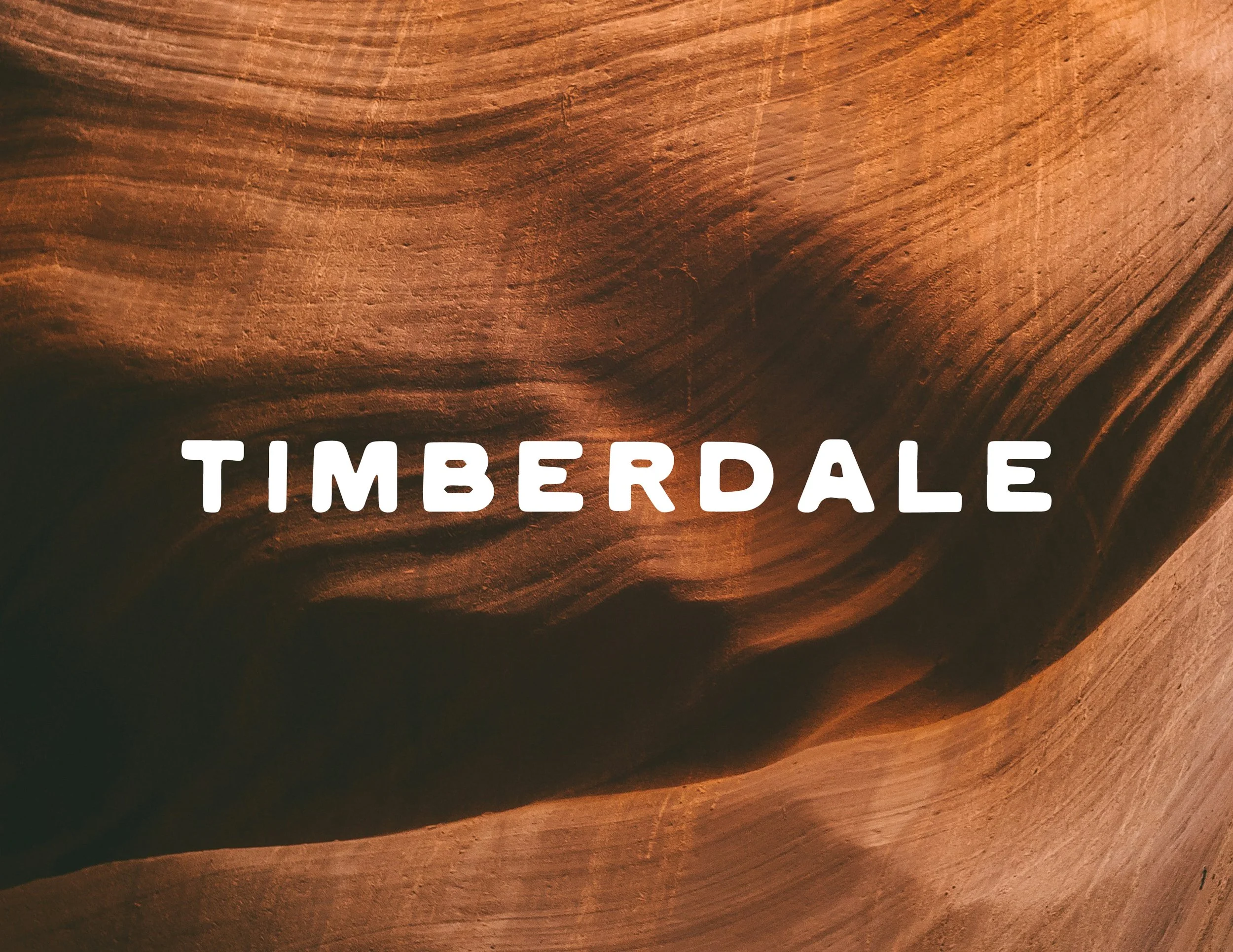 Timberdale_2024_Brand-identity