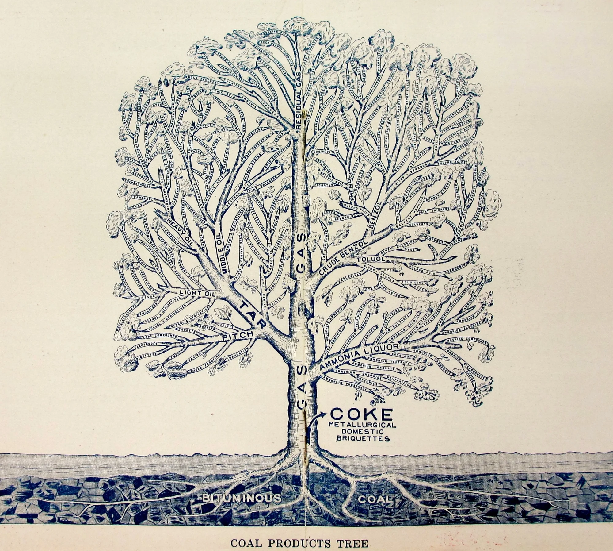 Coal products tree from the Semet-Solvay pamphlet “Products of Coal" (National Archives / Courtesy of Adam Romero )