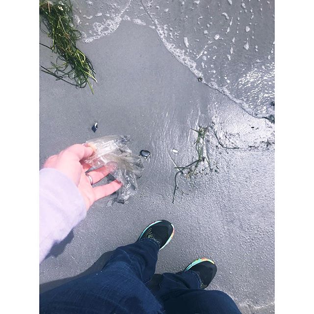 The afterlife of a Mylar balloon &mdash; colorants, image long-gone. #planetorplastic
.
.
.
.
.
#PlanetOrPlastic #plasticpollution #2minutebeachclean #plastigram #lovelywhale #plastics #beatplasticpollution #marinelitter #litterati #plogging #envhist