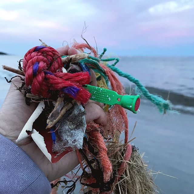 Entanglements. #plasticocean
.
.
.
.
.
#PlanetOrPlastic #plasticpollution #2minutebeachclean #plastigram #lovelywhale #plastics #plasticfree #beatplasticpollution #marinelitter #litterati #plogging #envhist #knowyourworld #ocean🌊 #plasticocean #just