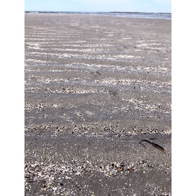 The ripples in the tidal flats almost work like a sluice box. Swipe ⬅️ LEFT to see what #plastics were right beneath where I snapped this image.
.
.
.
.
.
#PlanetOrPlastic #plasticpollution #2minutebeachclean #plastigram #lovelywhale #plastics #plast