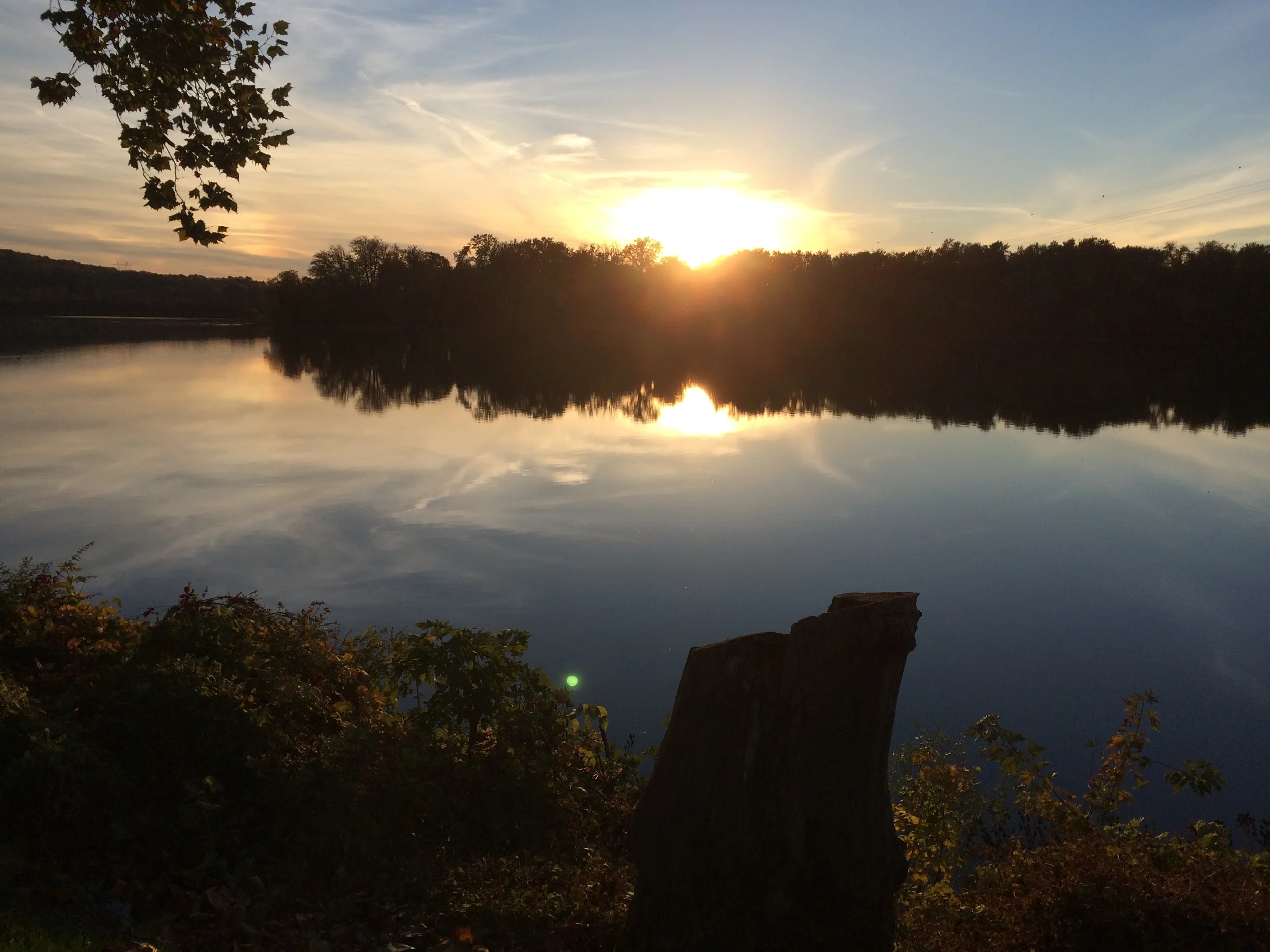 The Last 65 Day Pause, part 5