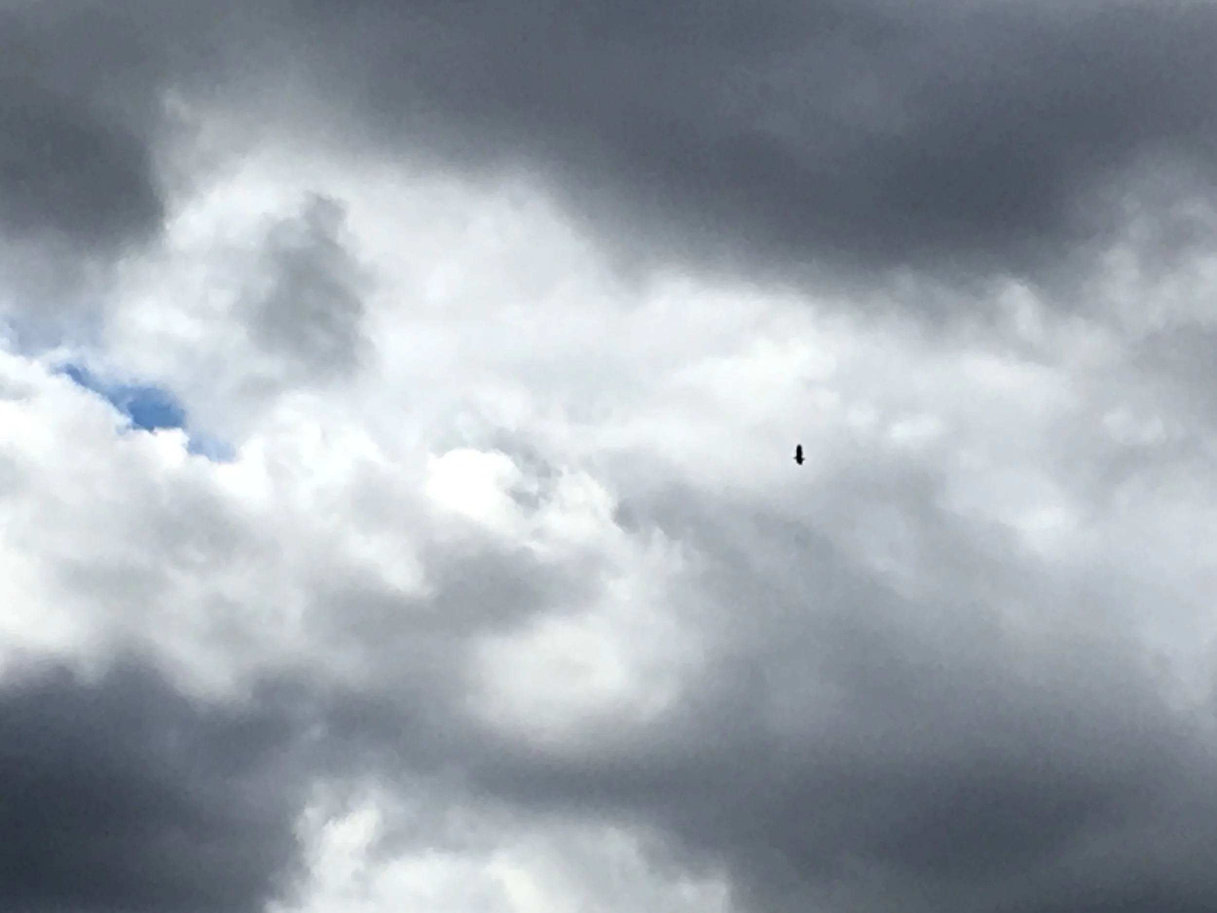 The Beginning of the End