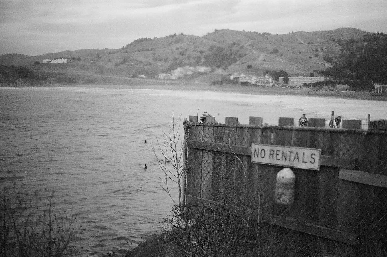 When I arrive in Pacifica, up near San Francisco, I always stay at my buddy Mitch's place. He's got a little farm / surf shack positioned up high along the coast. That's all for now folks. Stay stoked. YEW. 