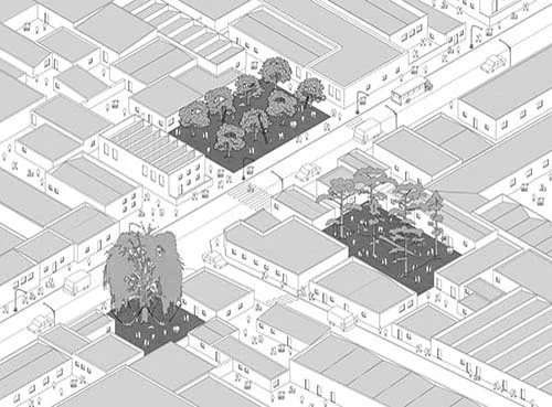 30-PROGRAMMED TREES.jpg