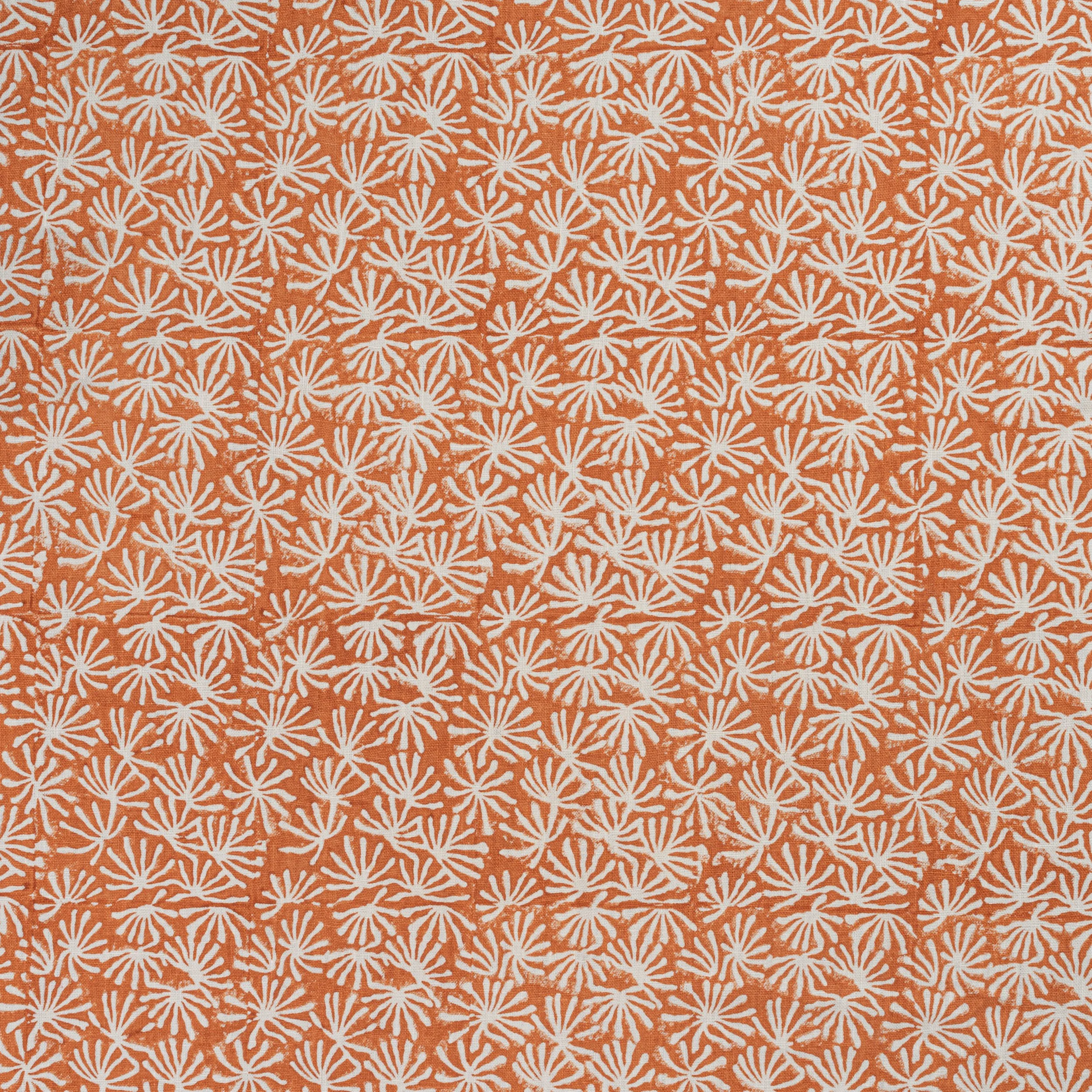 Splash - Orange.jpg