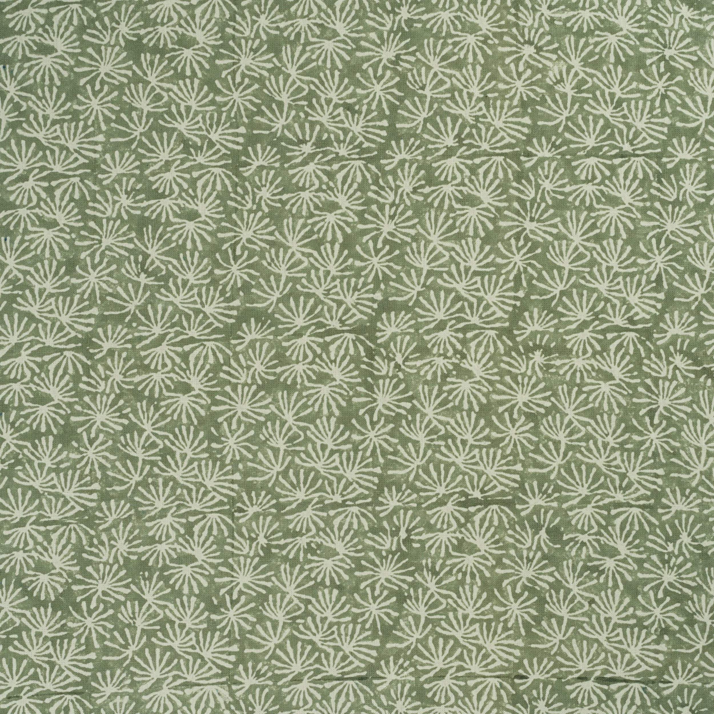 Splash - Sage.jpg