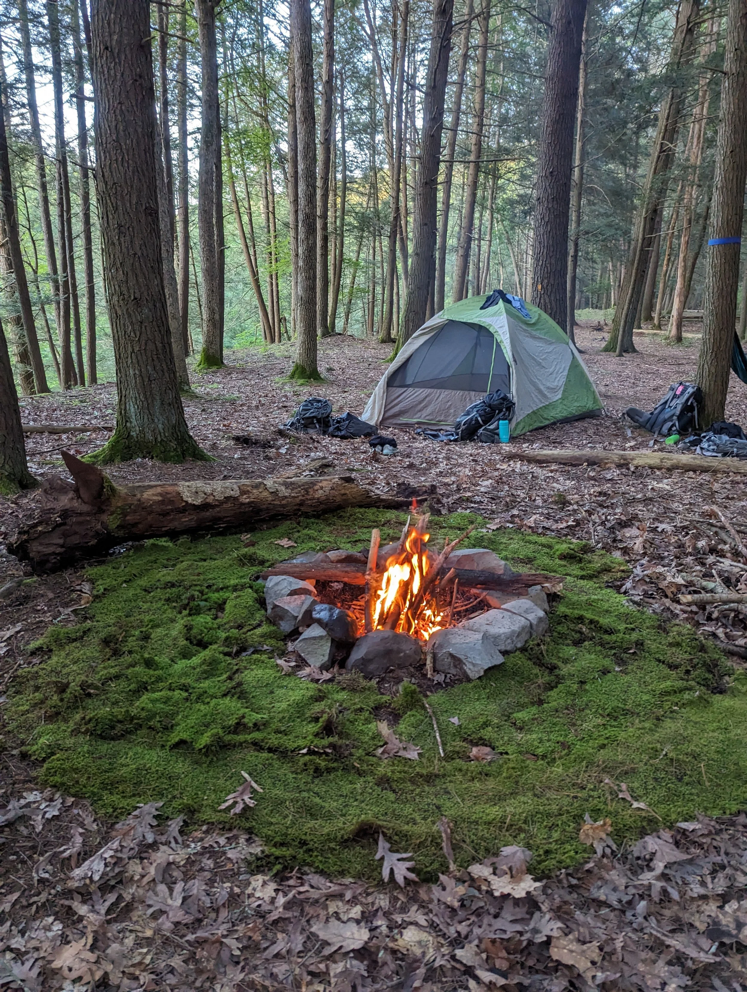 PXL_20230712_001201038.MP (2).jpg