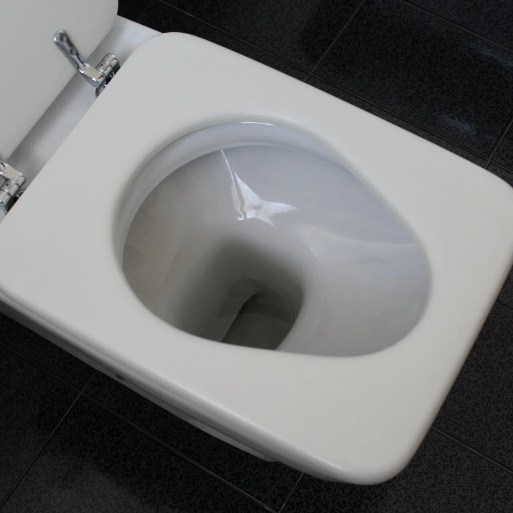Toilet Troubles
