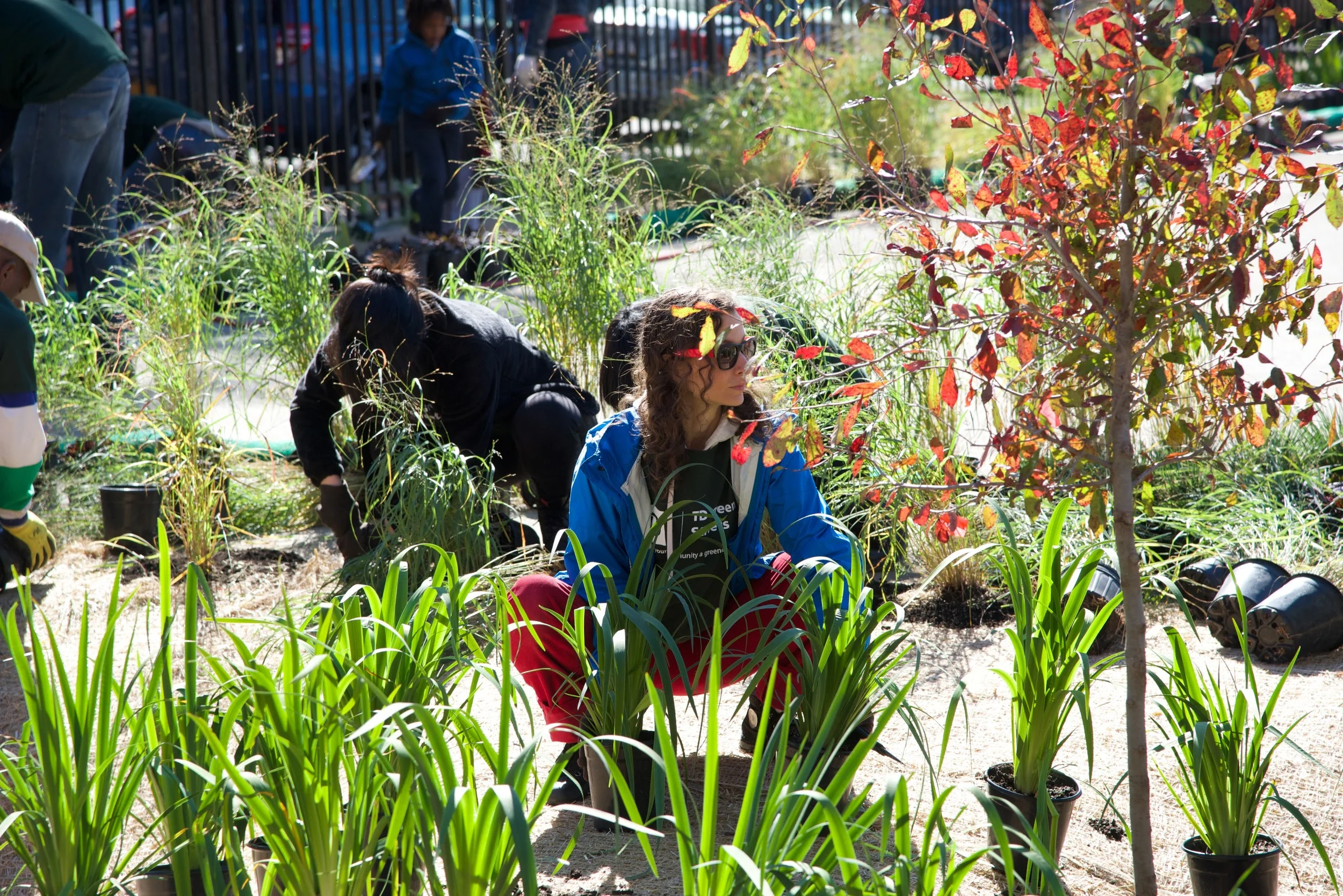 Greening Lea Planting Day_2015_57.jpg