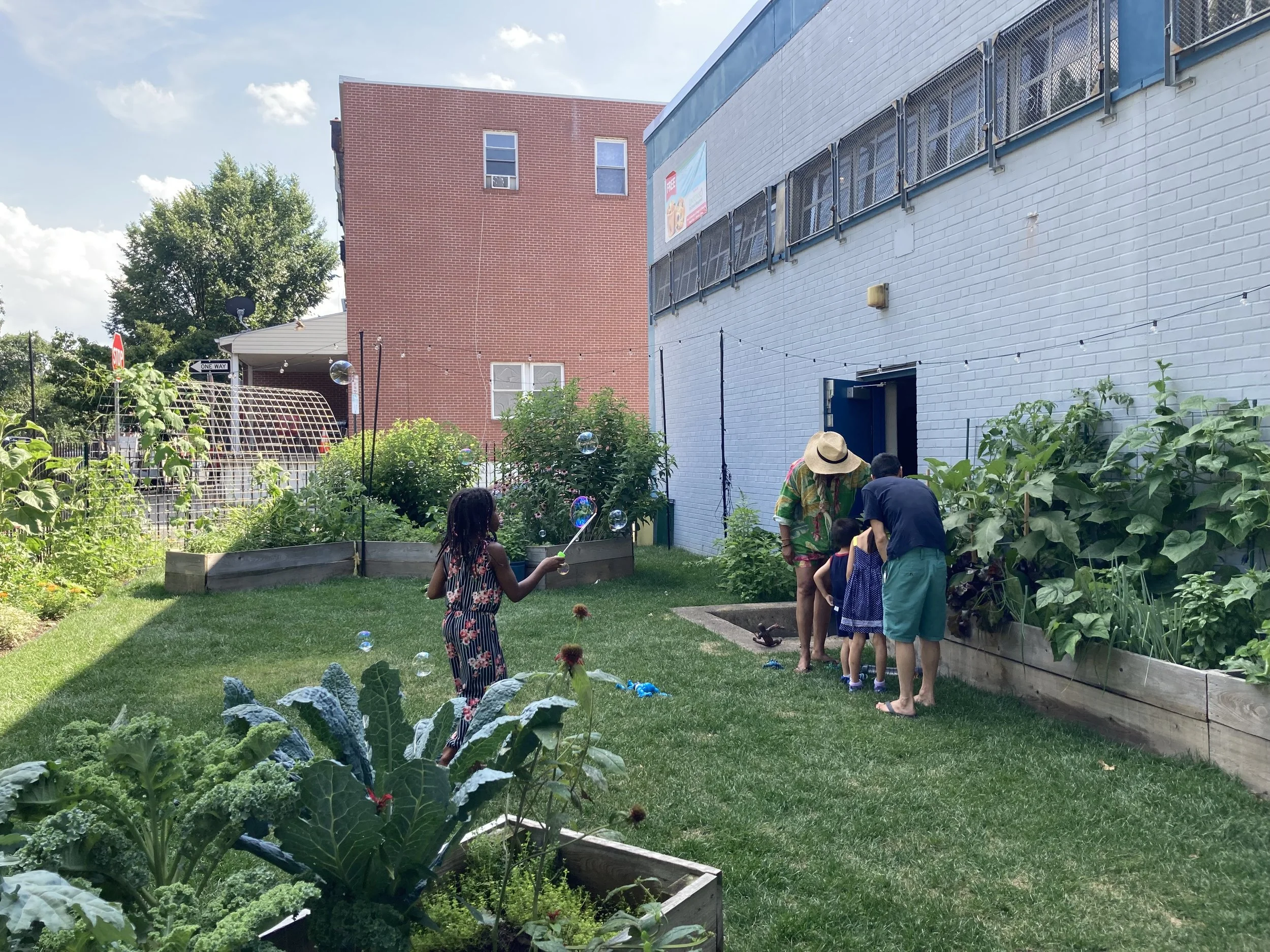 FREEDOM GREENS & GARDENS | Philadelphia PA