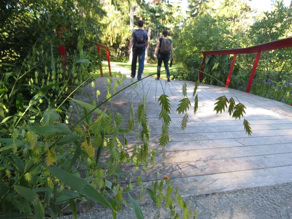 HARRISON STREET PARK  |  Princeton NJ