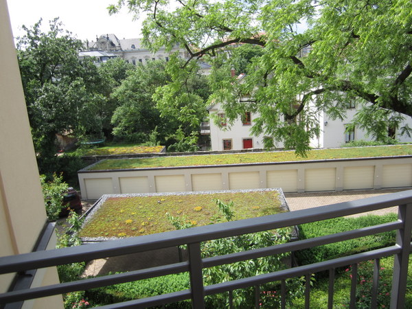 View of the surrounding mossy roofs from my friend's deck in Dresden, Germany.