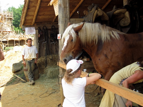 Female horse handler feeding the workhorse while a male horse handler and a child tourist look on.