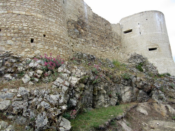 Wildflowers along the base of the wall at Falaise Chateau.