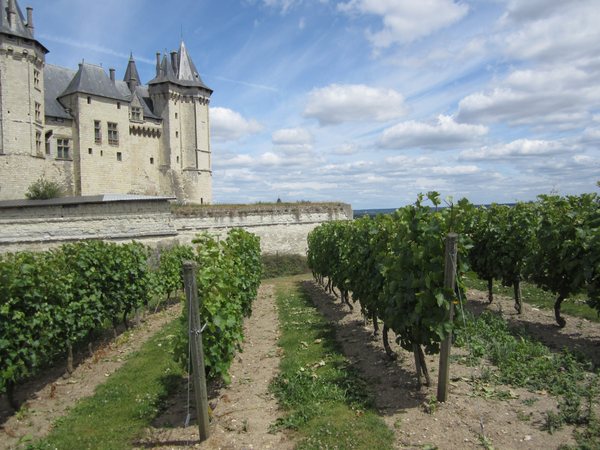 The chateau at Saumur and its surrounding vineyards.