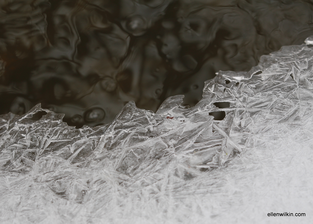 Ice Melding into Water, Dry Creek