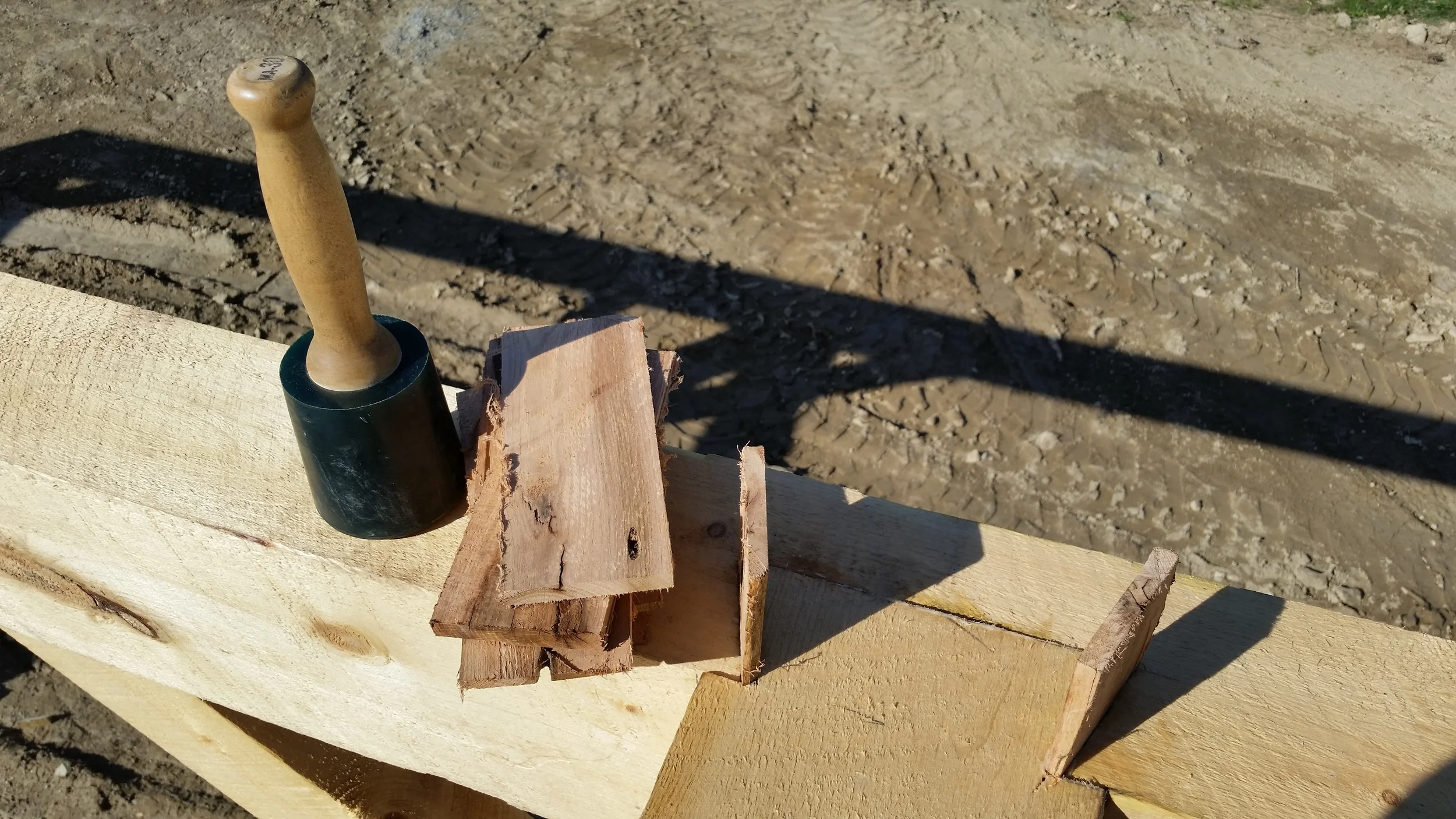 20141009_144955.jpg