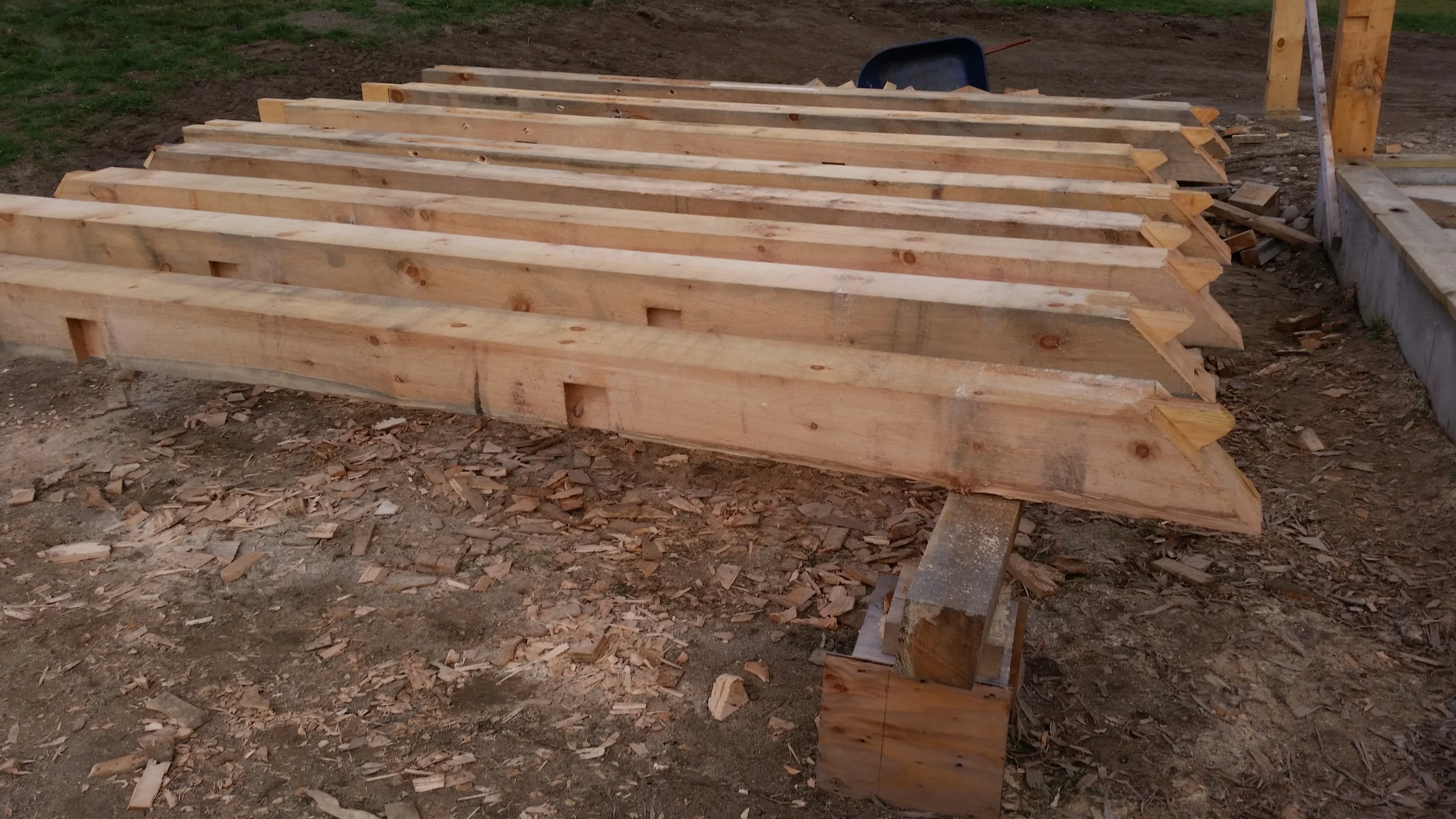 20141030_112244.jpg