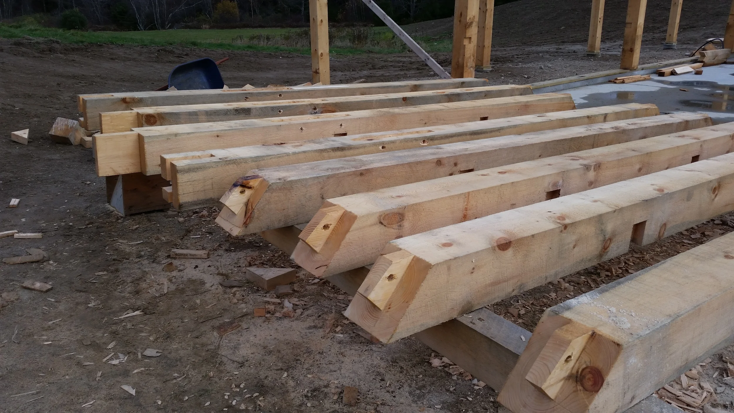 20141030_112253.jpg