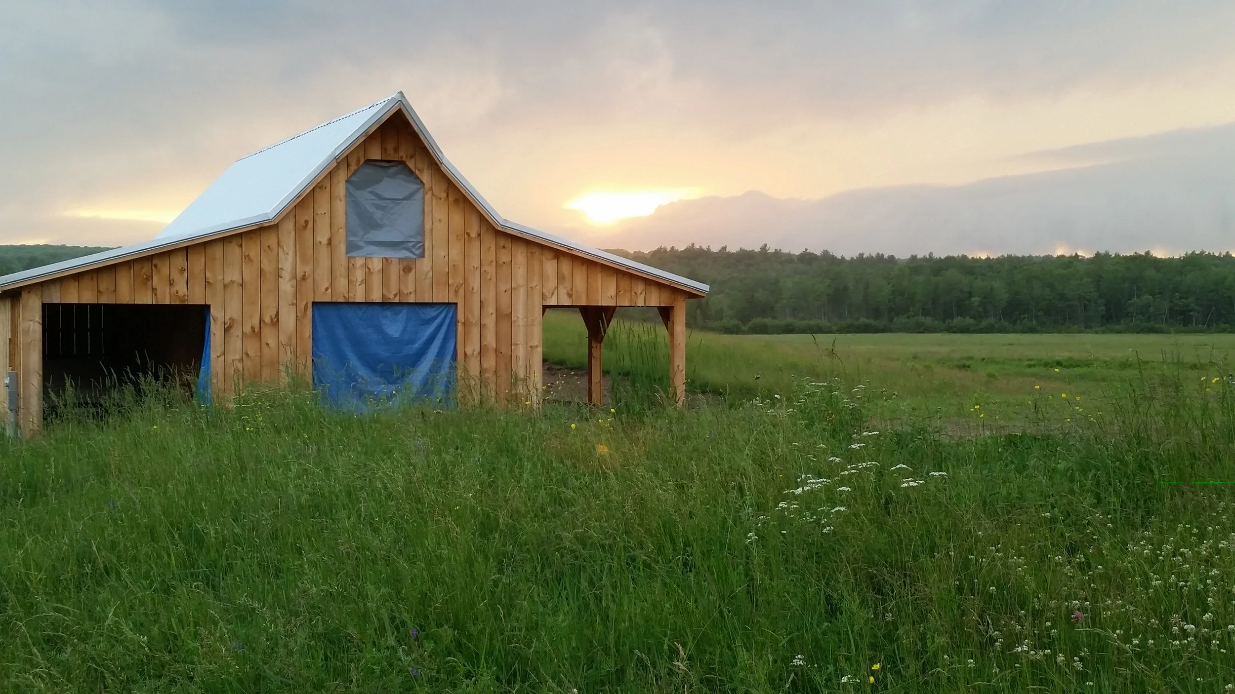 20150623_195916.jpg