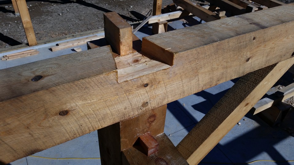 Upper part of English Tying joint with dovetail mortise in top plate