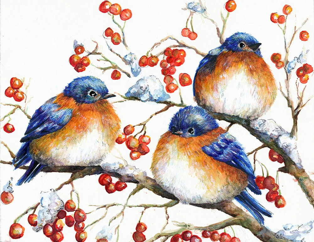 Bluebird Christmas Card