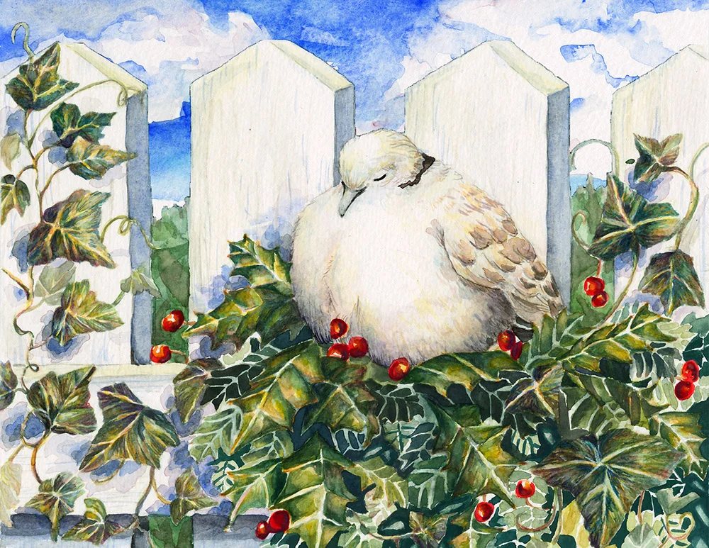 Holly & Ivy