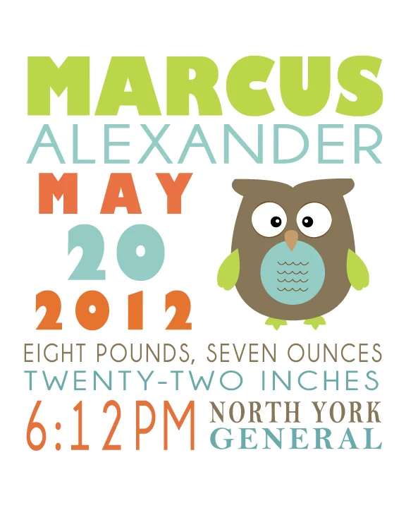 HazelBug Designs - Brown Owl