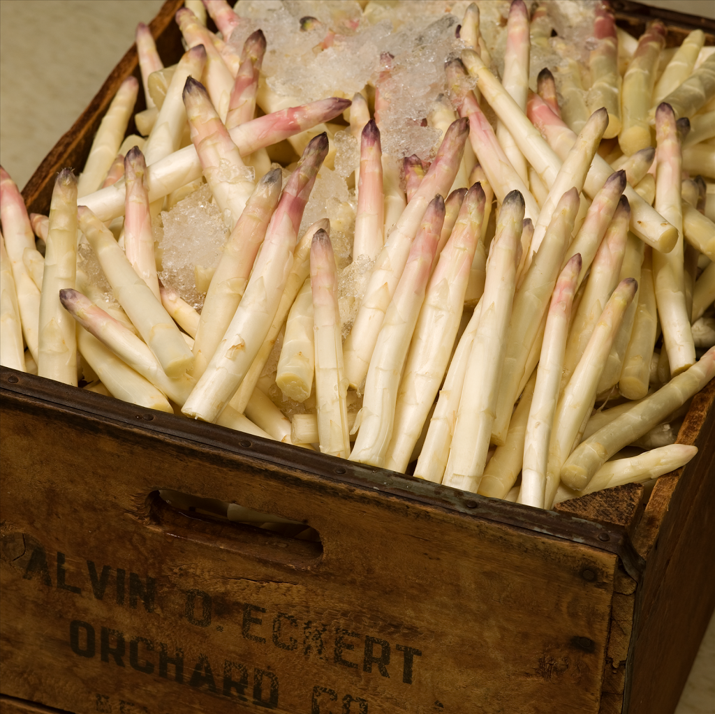 Asparagus-020156-Resized-.png