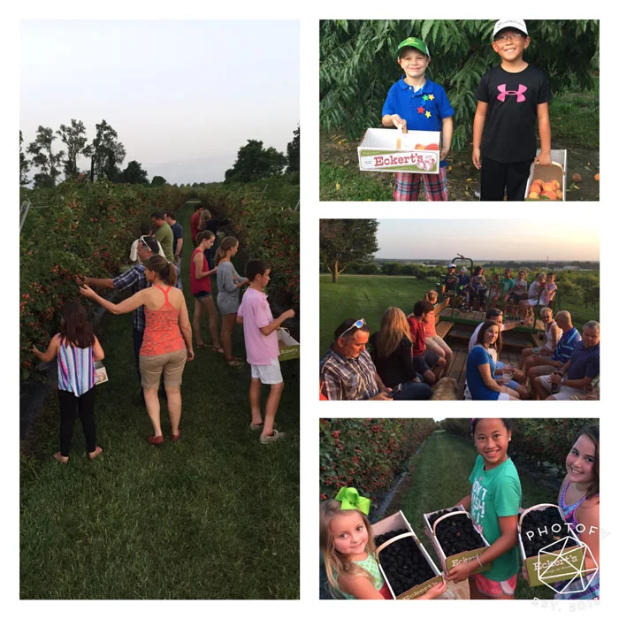 Peach & Blackberry Cobbler with Streusel Topping — Eckert's Family