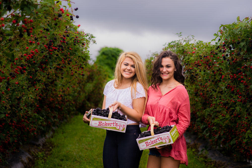 blackberries---grace-and-gina.jpg