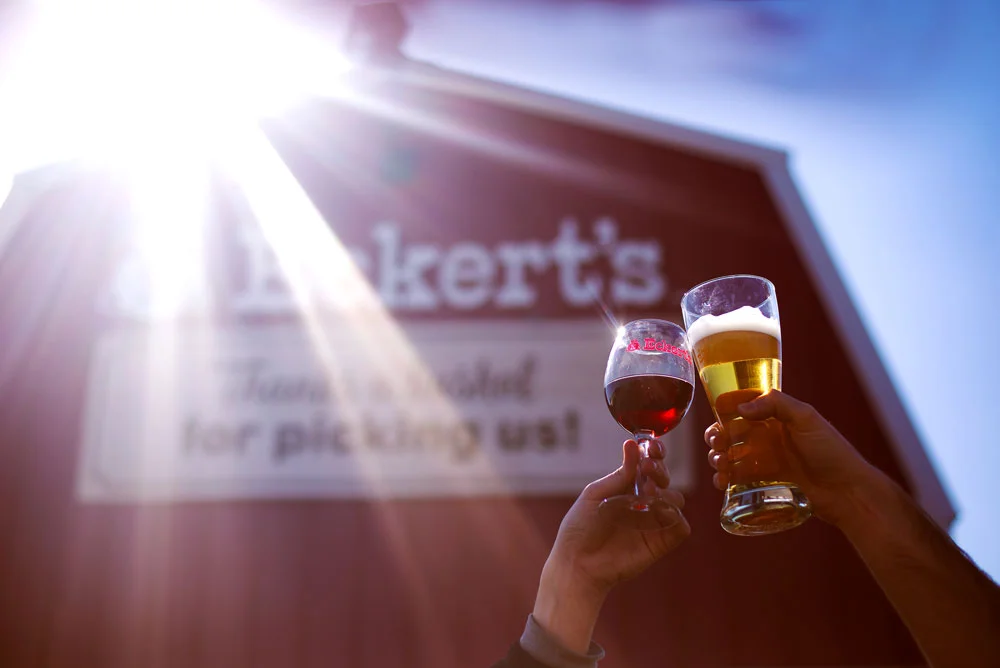 cheers---sunlight.jpg