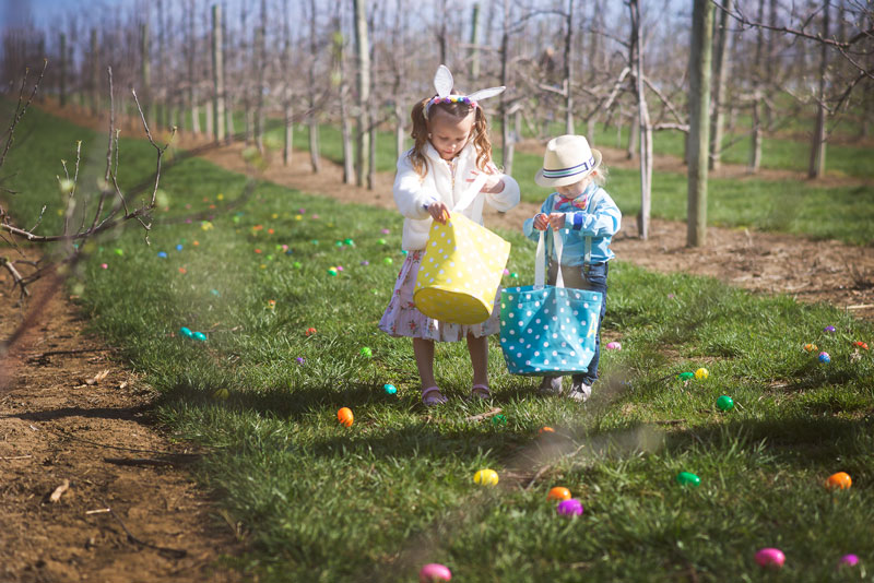 Easter-Egg-Citement.jpg