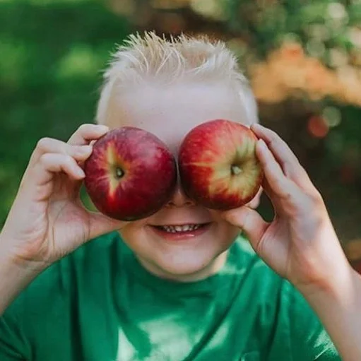 Eckert's Family Farms and Seasonal PickYourOwn Crops