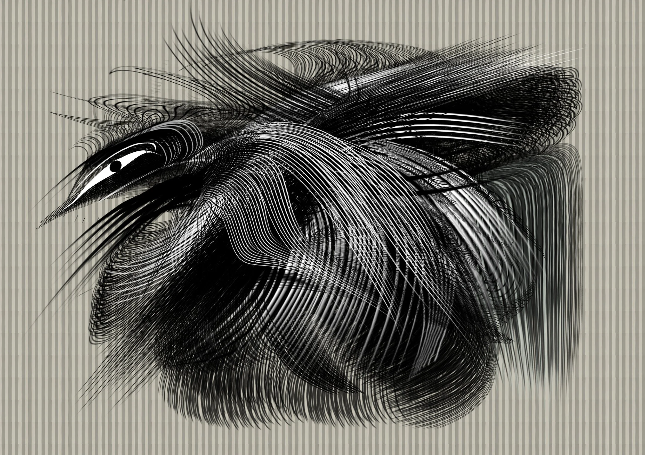 newnewshapes copy.jpg