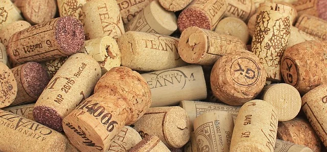 champagne-cork-1350404_640.jpg