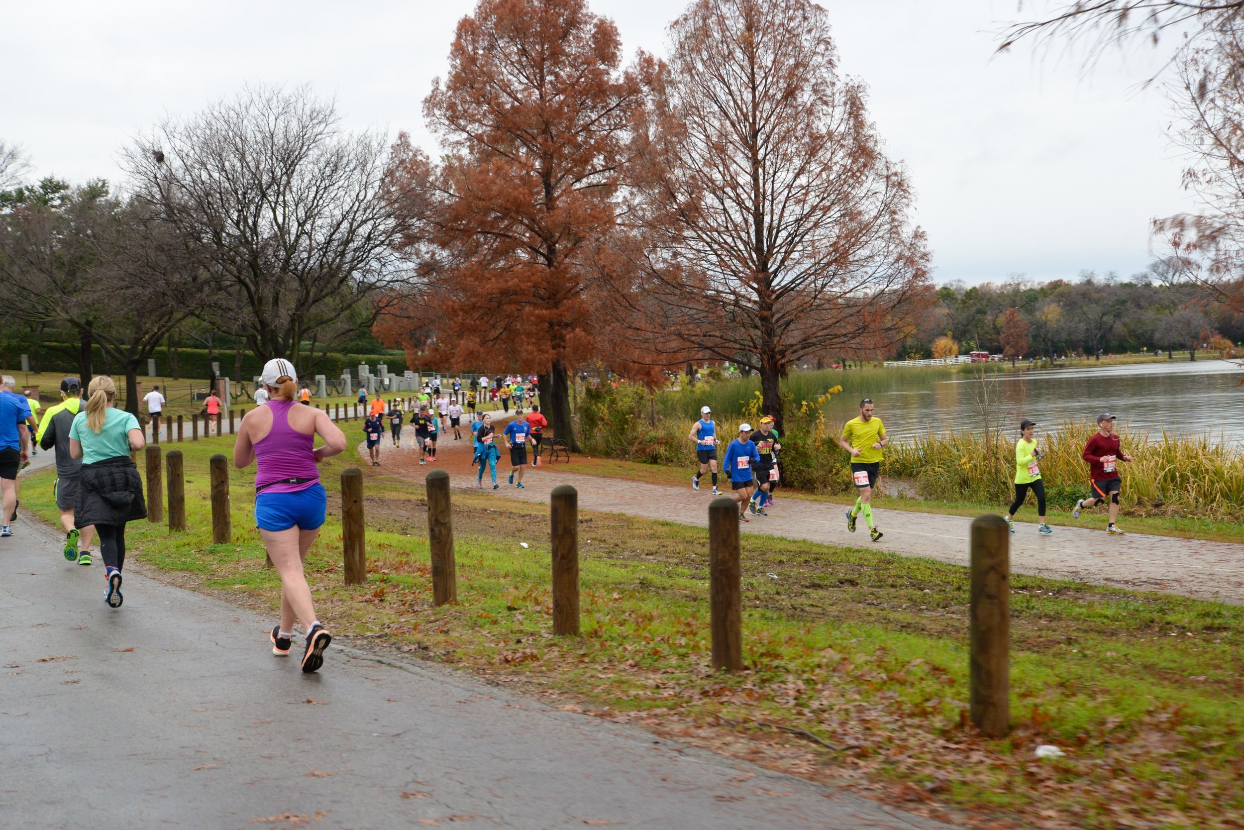 Pack-of-Runners-Near-White-Rock-Lake.jpg