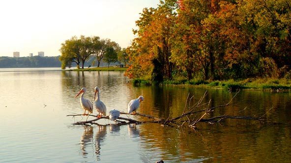 white-rock-lake-dallas.jpg