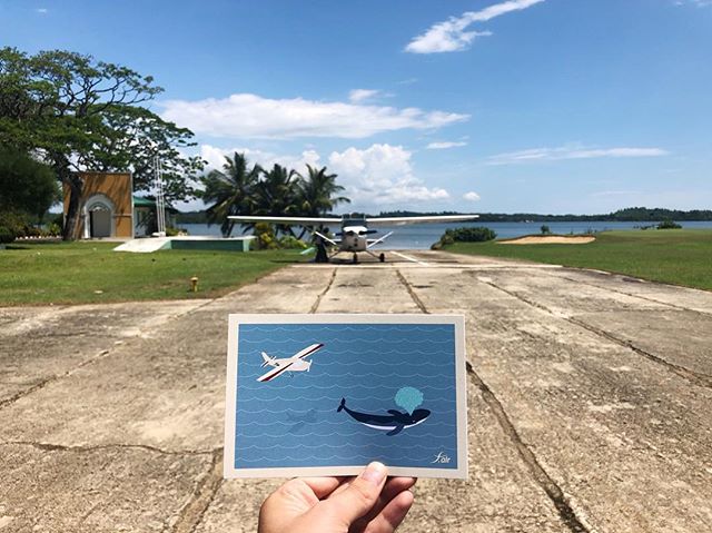 (eng below) Tambi&eacute;n ilustr&eacute; una postal 🐋🌈🛩🏝 .

La idea de venir a un pa&iacute;s como este, y tener la posibilidad de ver la cantidad de vida silvestre que tiene es un sue&ntilde;o, pero siempre hay que considerar la manera de hacer